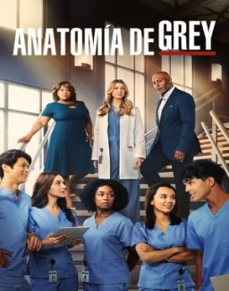 Anatomía de Grey temporada 1 Anatomía de Grey T1