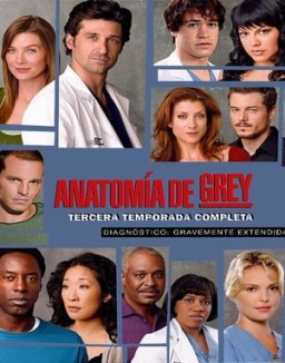 Anatomía de Grey temporada 3 Anatomía de Grey T3