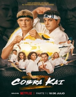 Cobra Kai online gratis Cobra Kai online gratis