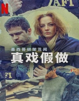 El caso Cassez-Vallarta: una novela criminal online gratis El caso Cassez-Vallarta: una novela criminal online gratis