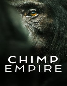 El imperio de los chimpancés temporada 1 El imperio de los chimpancés T1